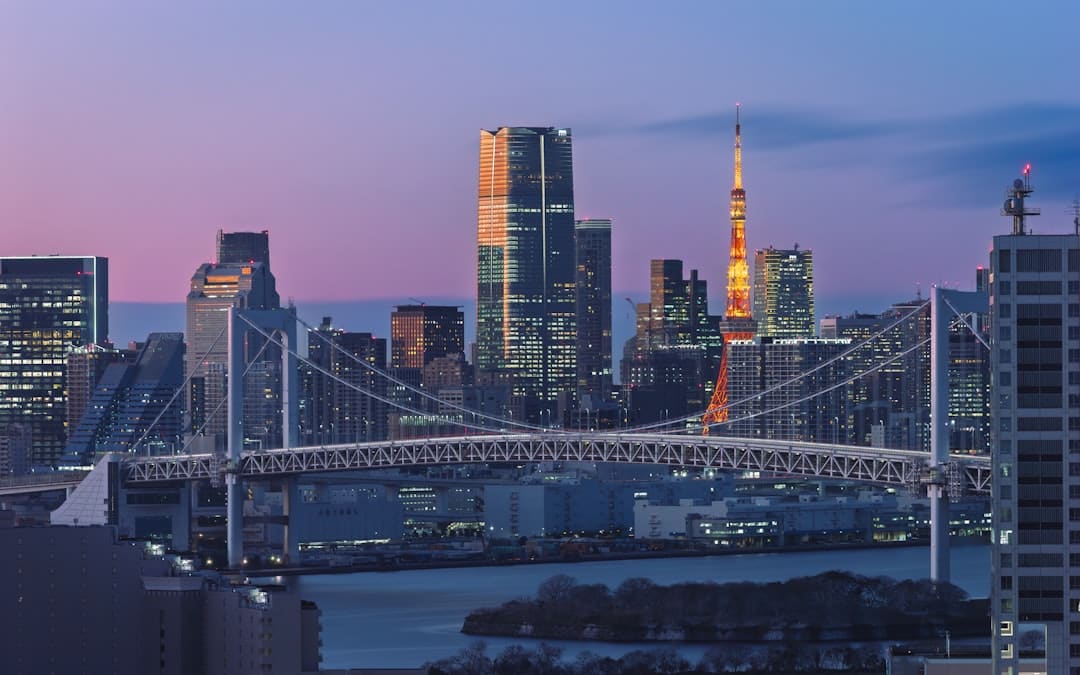 立异驱动出海潮 上市公司全球布局显成效